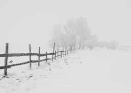 black wooden fence on snow field at a distance of black bare trees