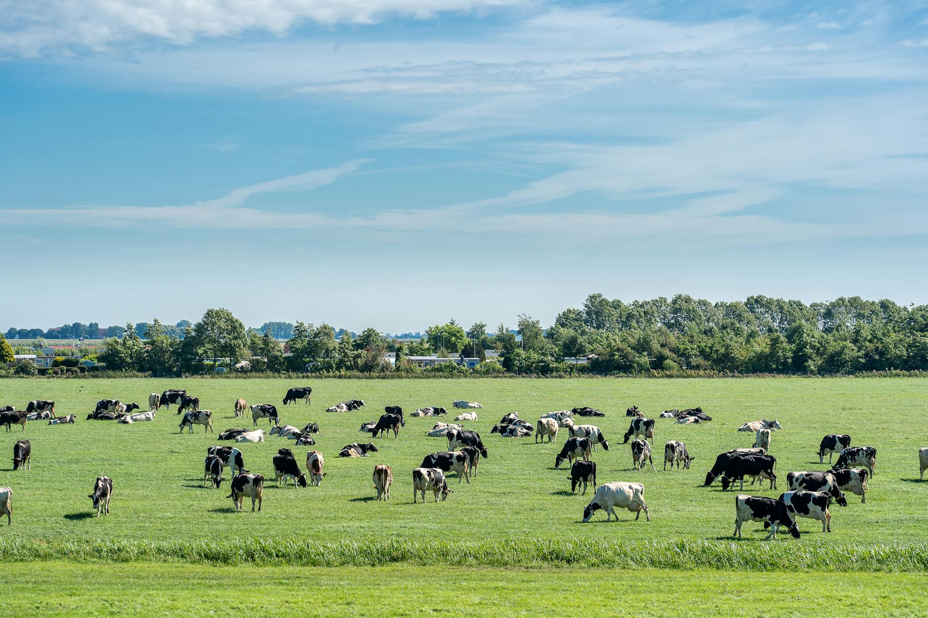 Extension Notes: Beyrond the Scarecrow: Smart Approaches to Controlling Wildlife on the Farm